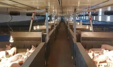 葉縣 招商引資風頭勁，鄉(xiāng)村振興活力增，科技中介服務賦能發(fā)展新格局