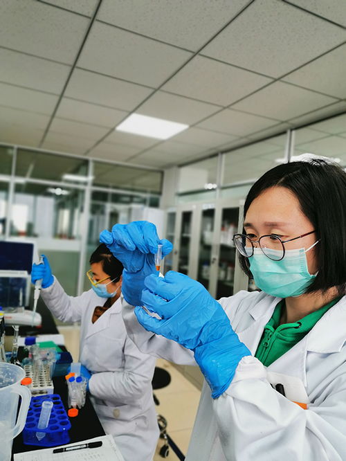 政銀企接力助復(fù)產(chǎn)，煙臺(tái)開發(fā)區(qū)科創(chuàng)服務(wù)生態(tài)圈顯神通